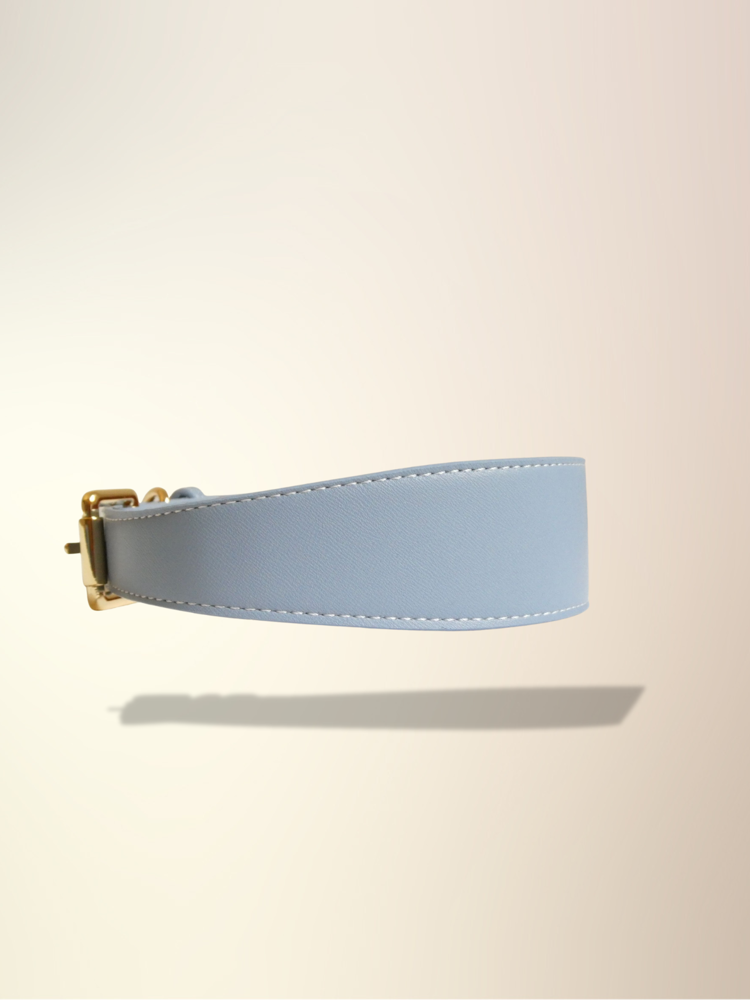 Blue Vegan Leather Collar