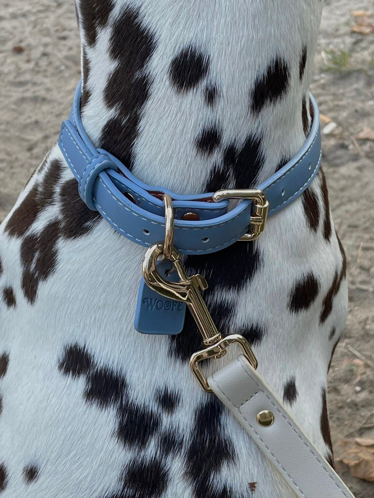Blue Vegan Leather Collar