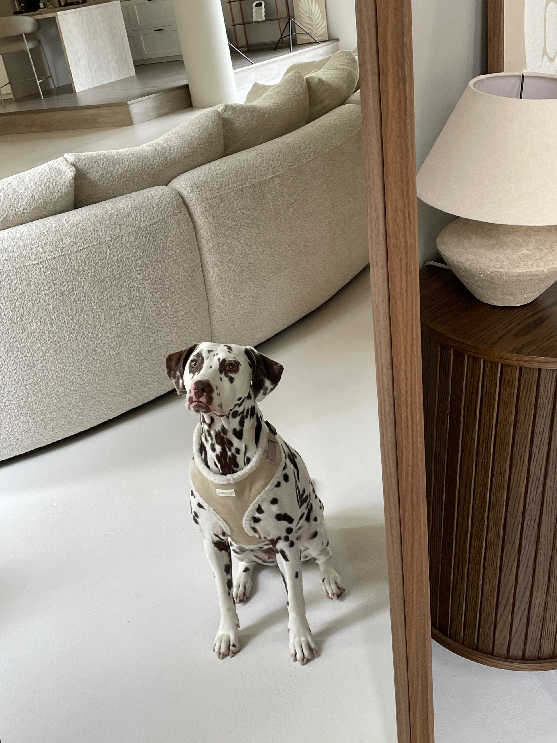 Beige Fur Harness