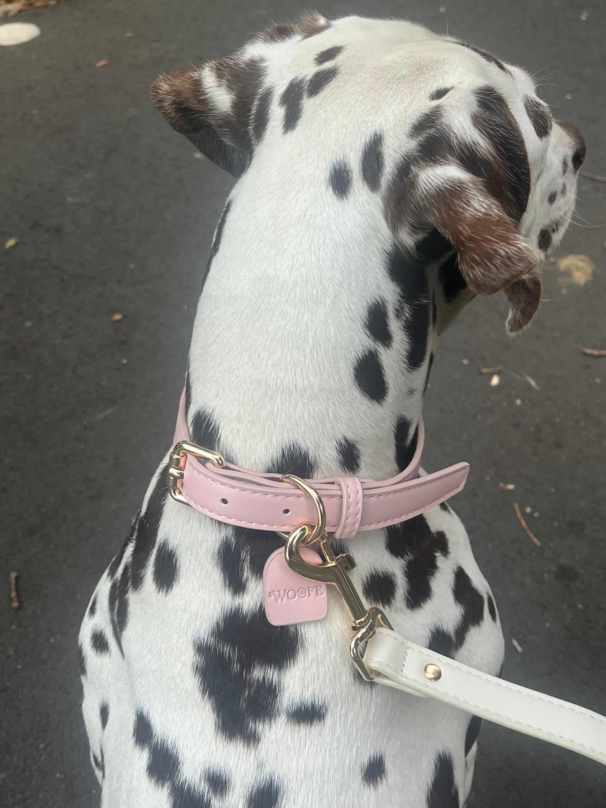 Pink Vegan Leather Collar