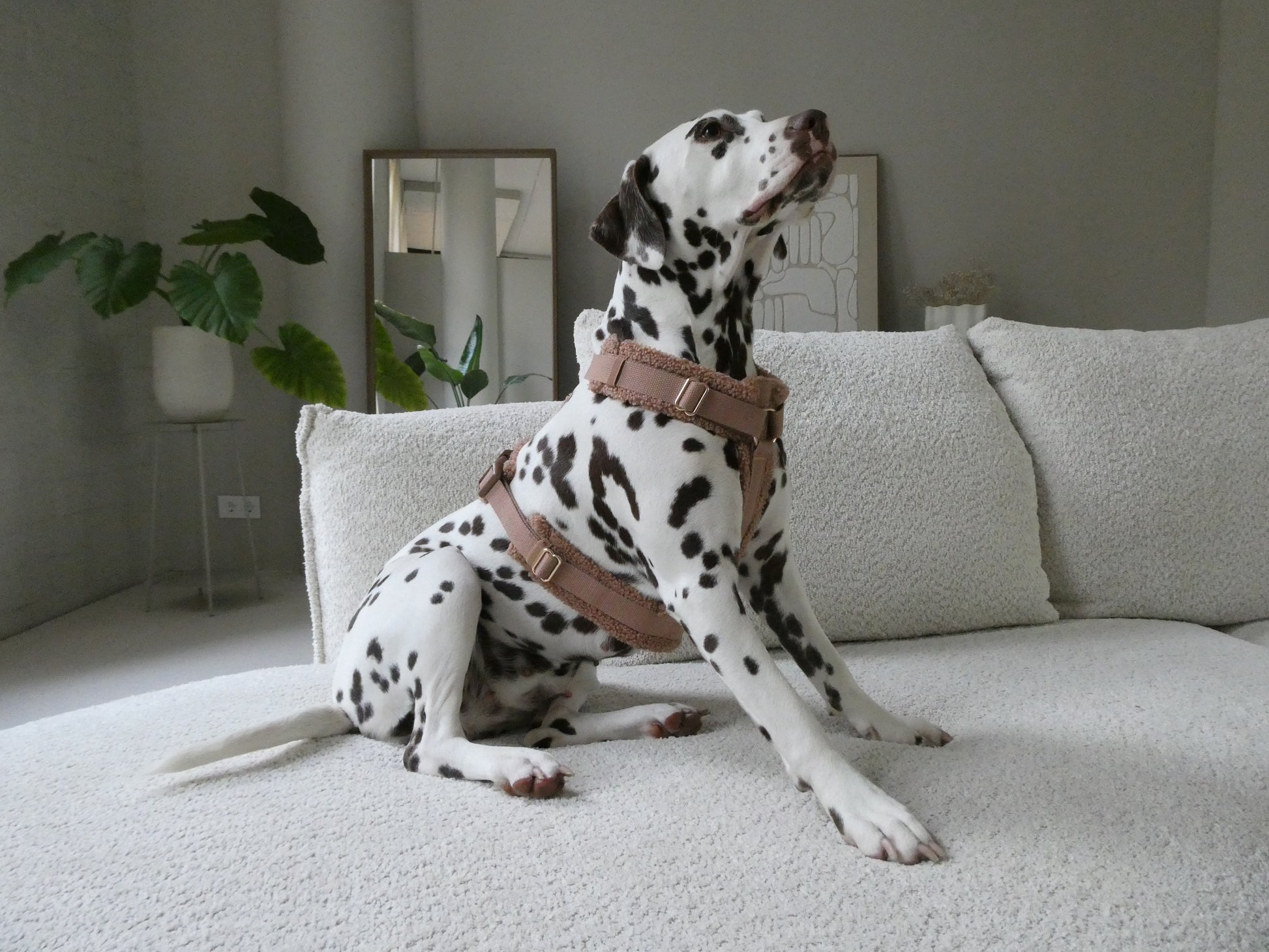 Teddy Harness Hazelnut