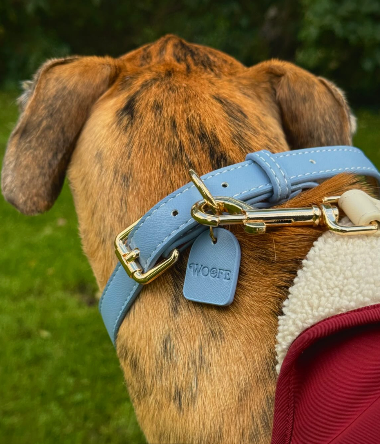 Blue Vegan Leather Collar