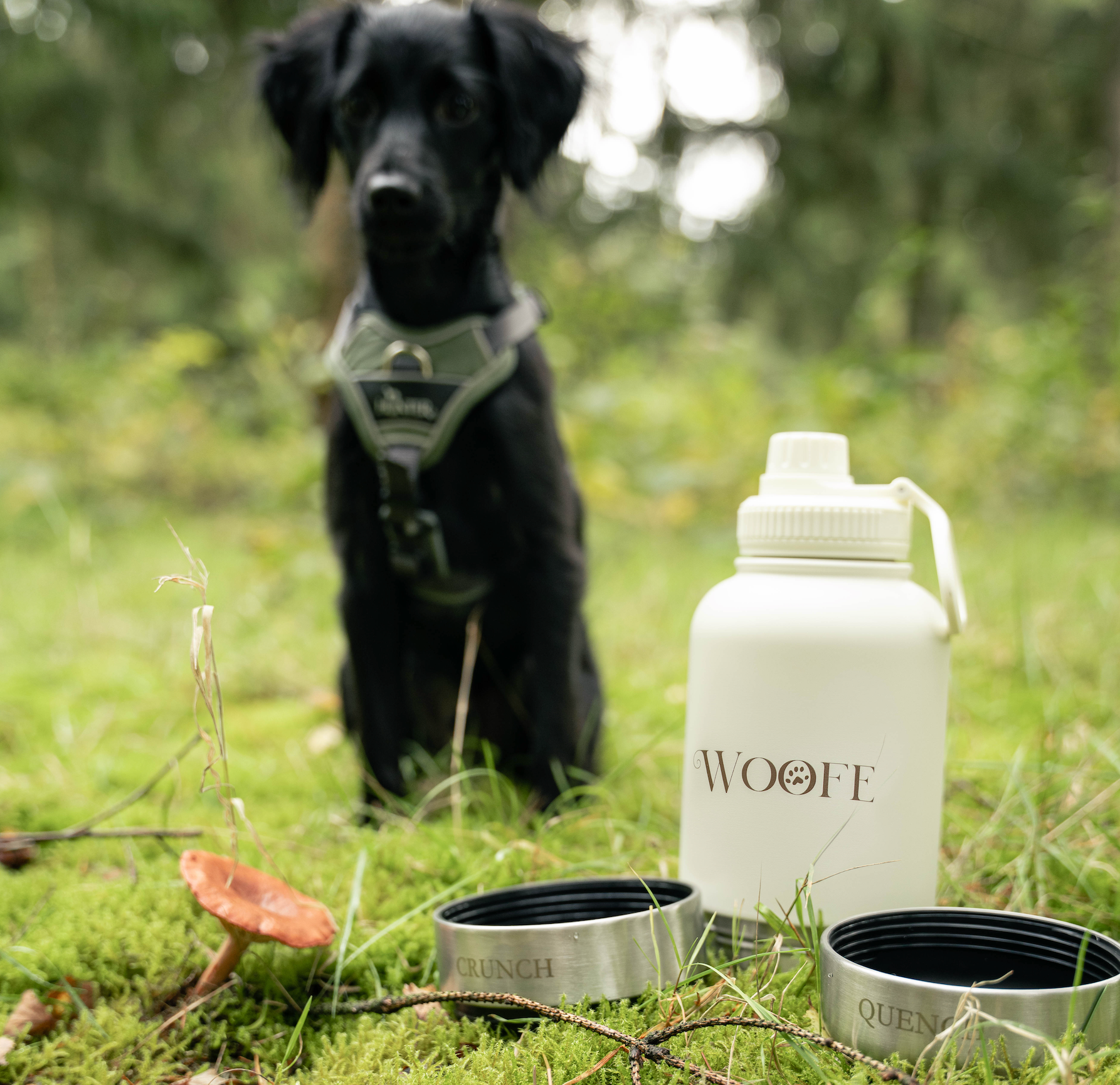 3 in 1 Water bottle - Oatmilk Beige
