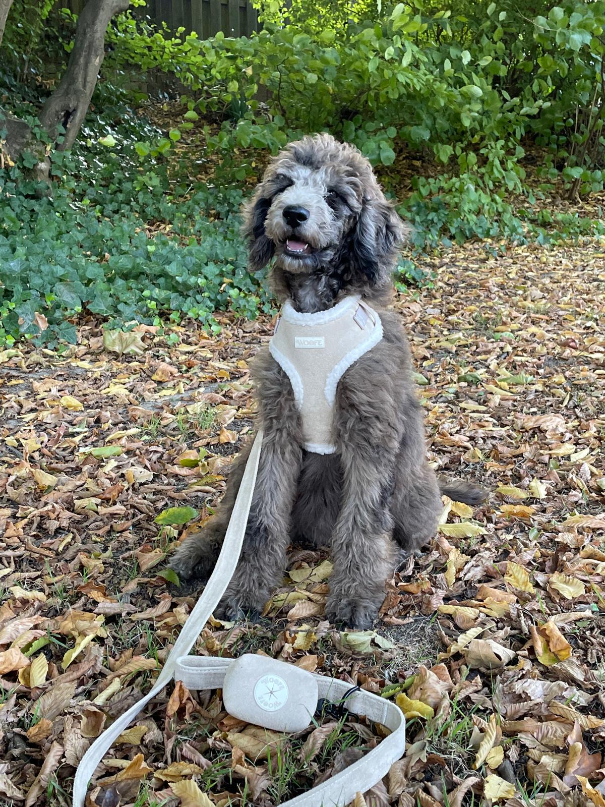Beige Fur Harness