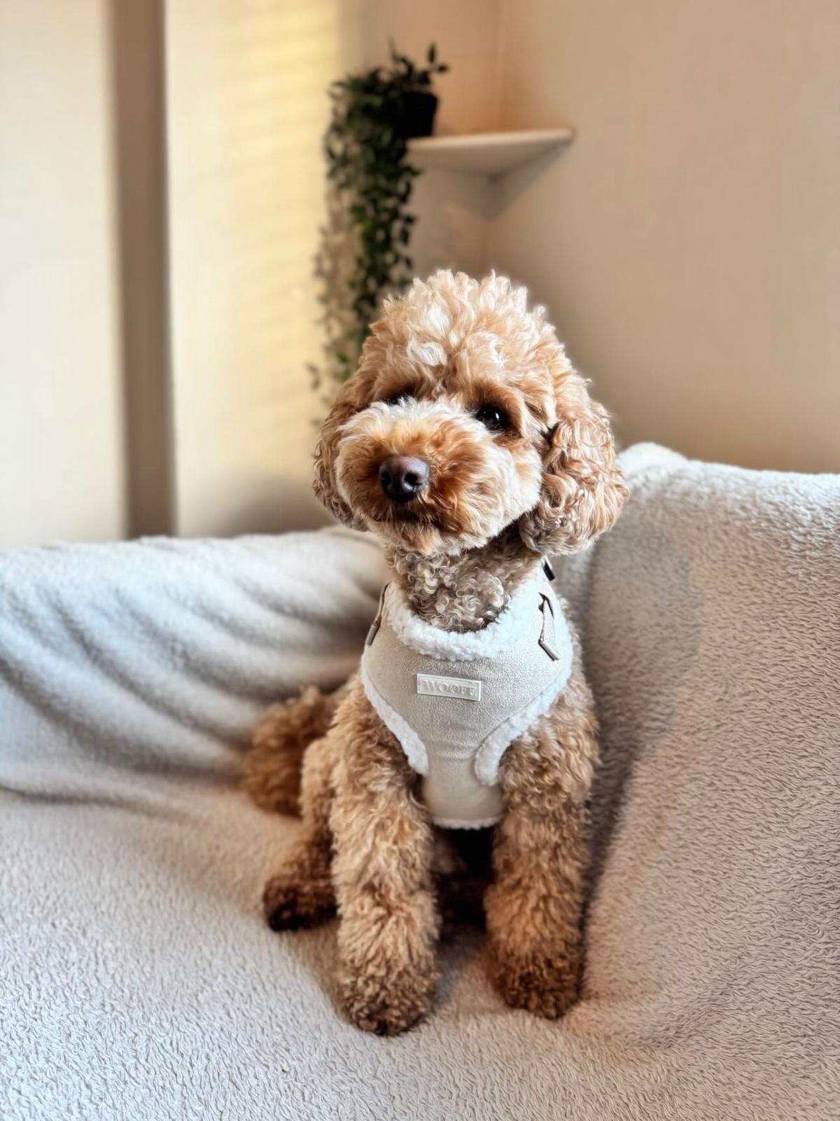 Beige Fur Harness