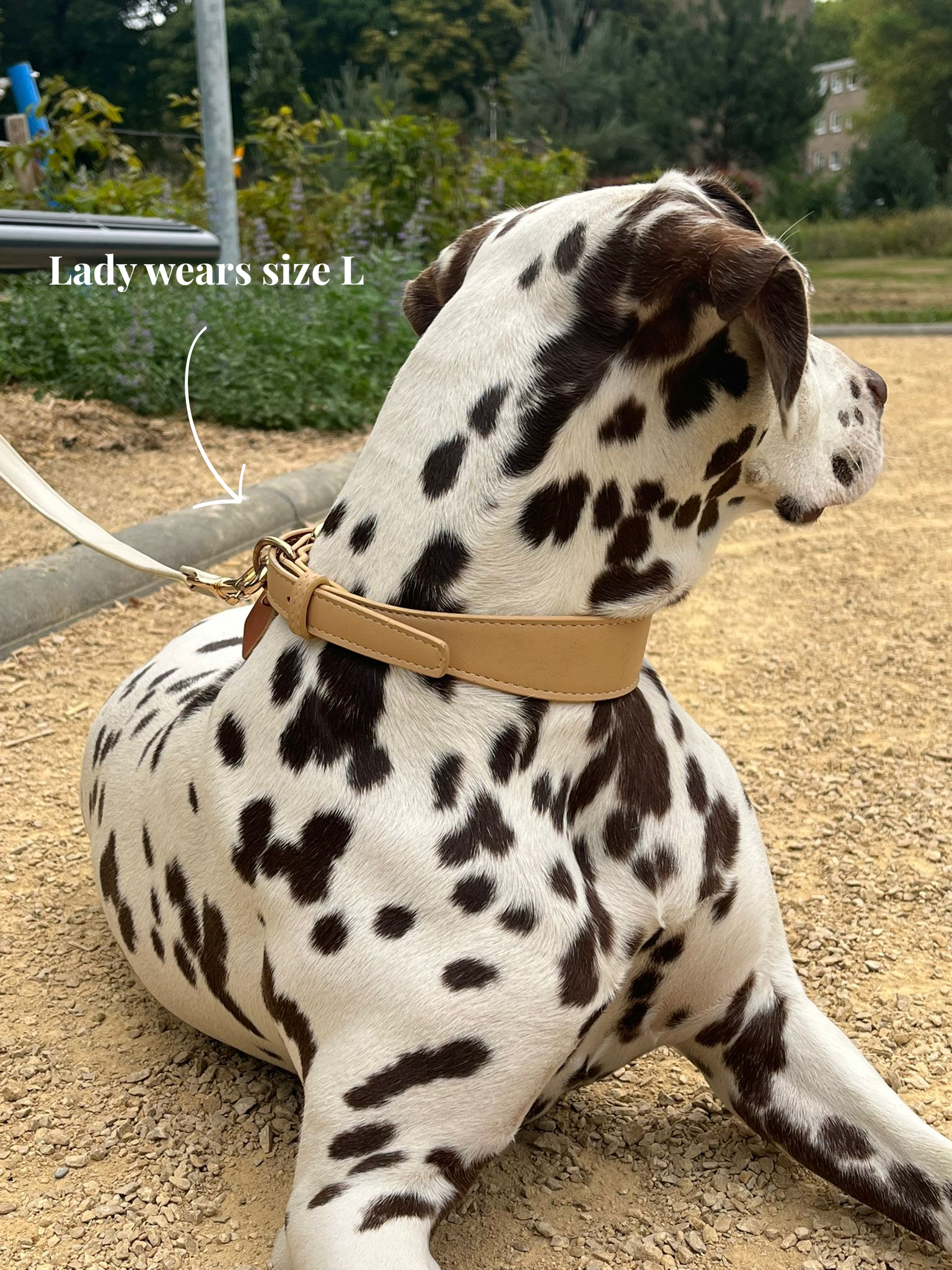 Beige Vegan Leather Collar