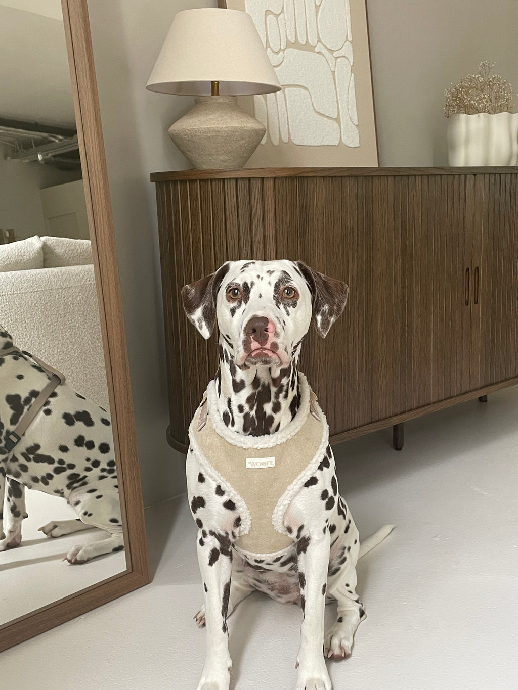Beige Fur Harness