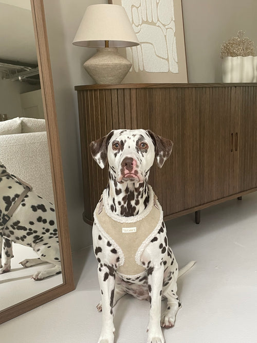 Beige Fur Harness