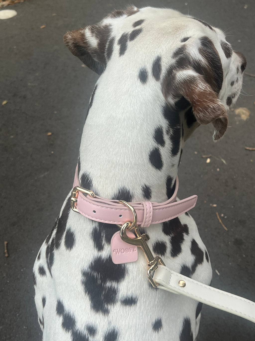 Pink Vegan Leather Collar