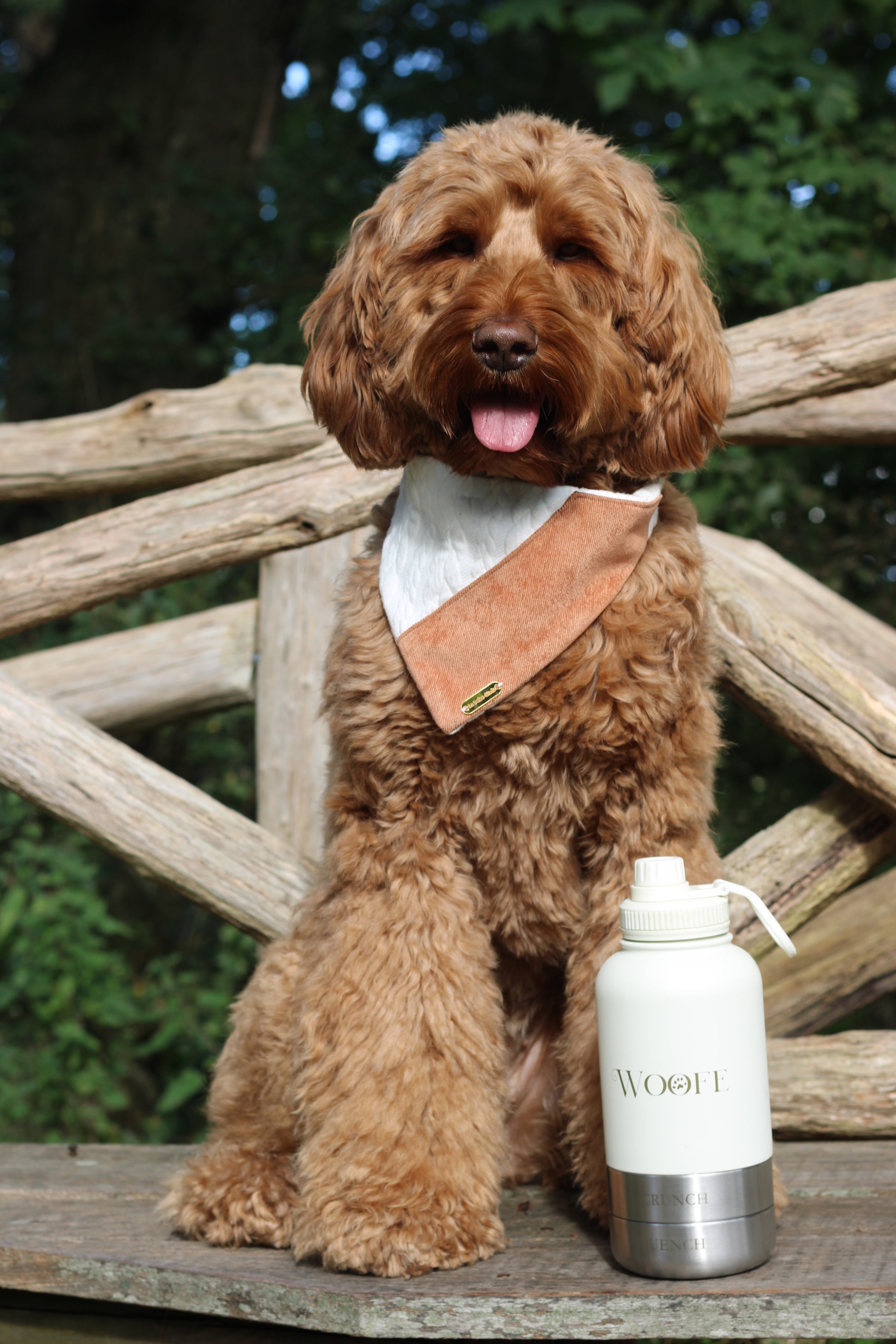 3 in 1 Water bottle - Oatmilk Beige