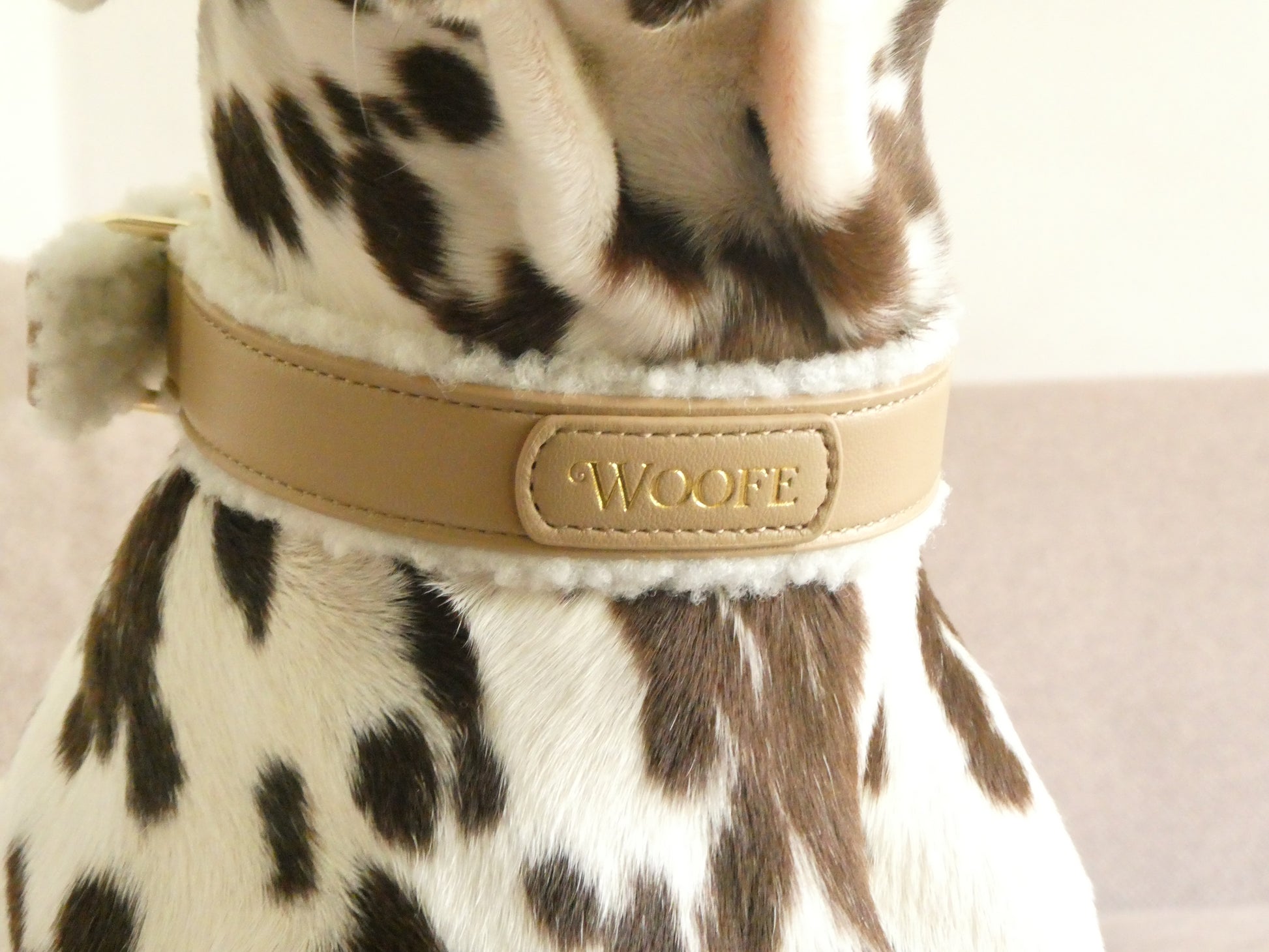 The Cosy Collar