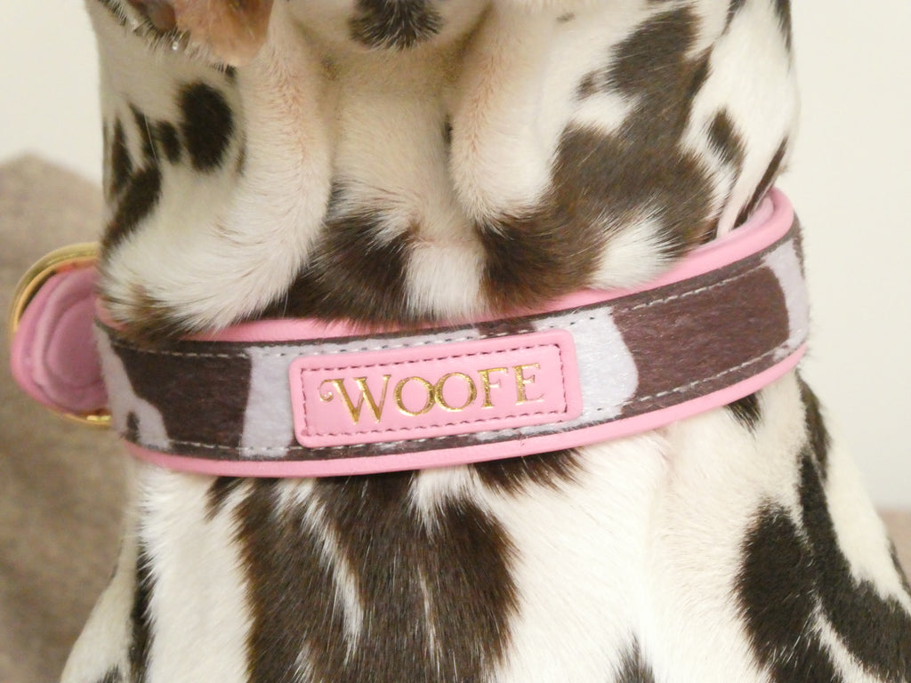 The MOO'd Collar