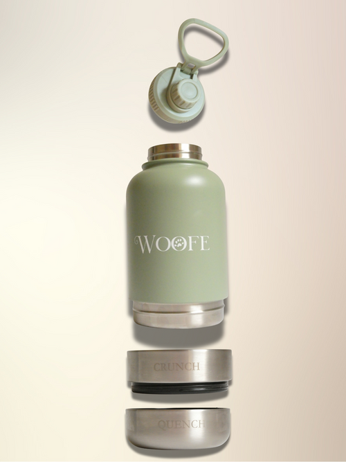 3 in 1 Water Bottle - Matcha Green