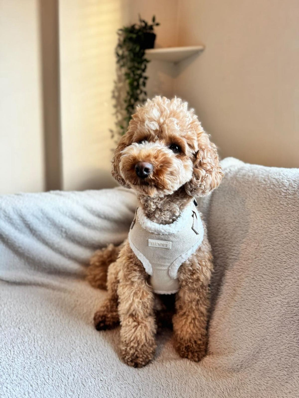 Beige Fur Harness