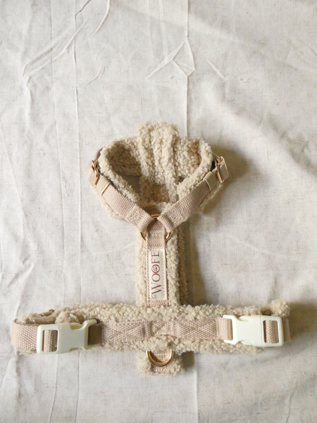 Teddy Harnas Cashew